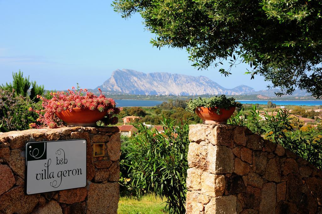Geron * San Teodoro (Sardinia)